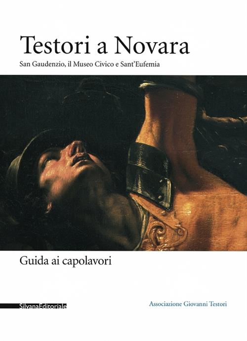 Testori A Novara. San Gaudenzio, Il Museo Civico E Sant'eufemia