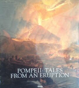 Pompeii Tales From An Eruption