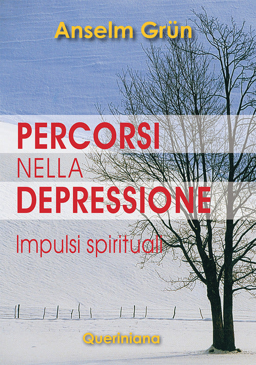 Percorsi Nella Depressione. Impulsi Spirituali Anselm Grün Queriniana 2009