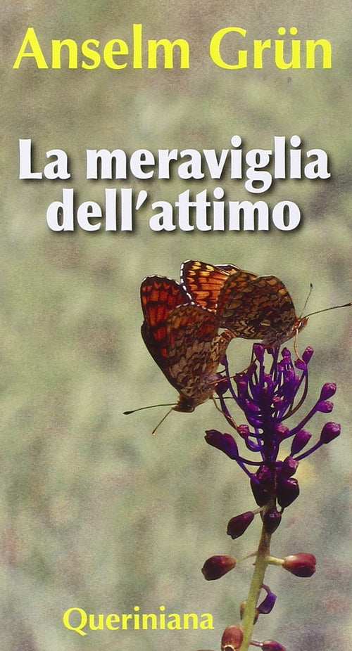La Meraviglia Dell'attimo Anselm Grün Queriniana 2010