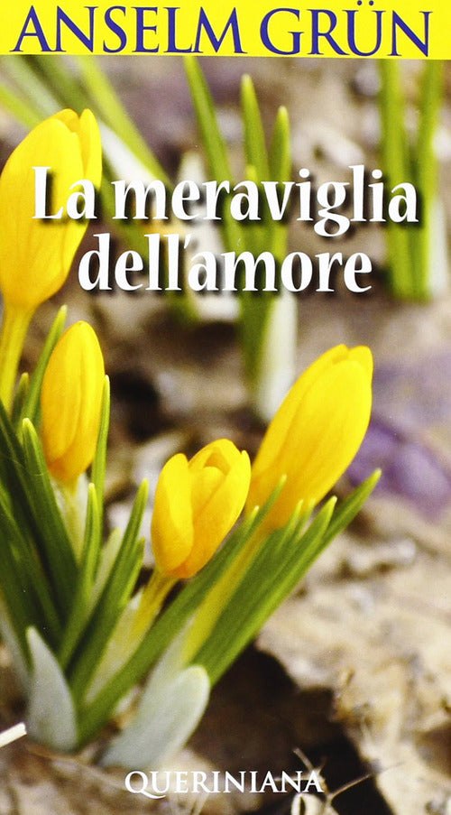 La Meraviglia Dell'amore Anselm Grün Queriniana 2011
