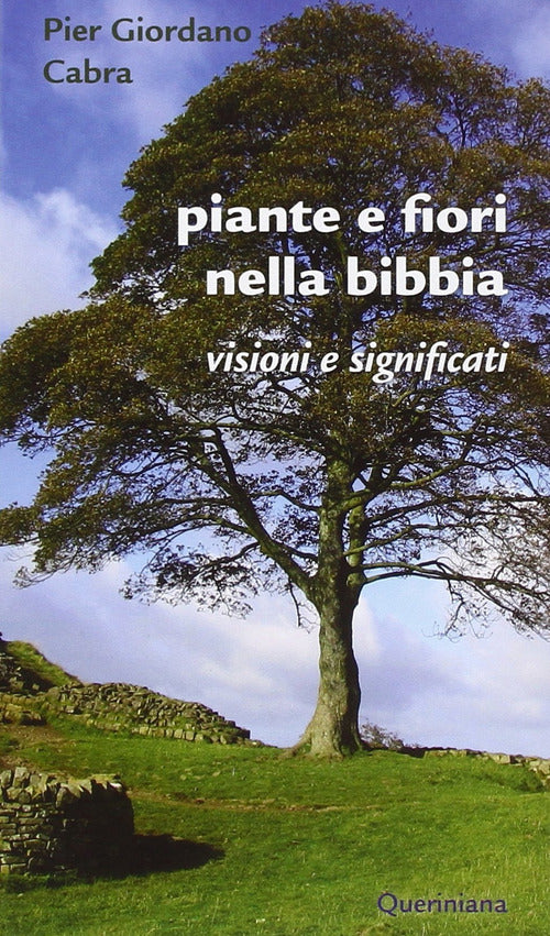 Piante E Fiori Nella Bibbia. Visioni E Significati Pier Giordano Cabra Querini