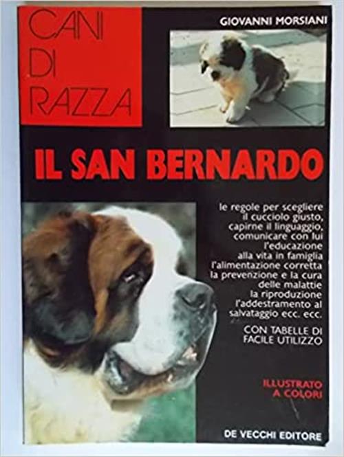 Il San Bernardo Giovanni Morsiani De Vecchi 1993