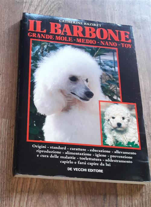 Il Barbone