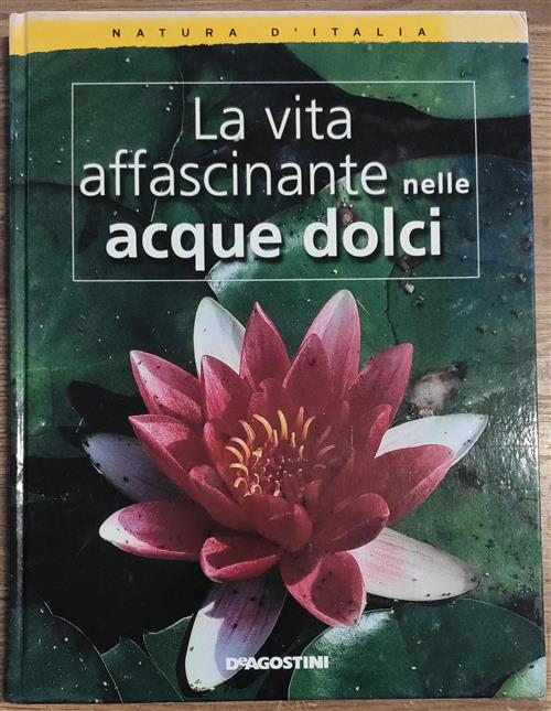 La Vita Affascinante Nelle Acque Dolci