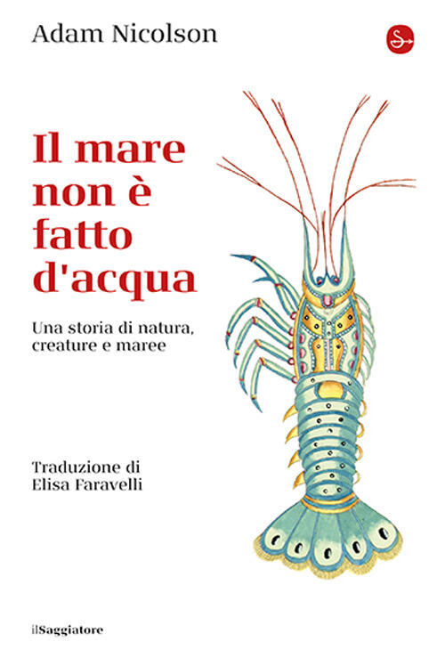 Il Mare Non E Fatto D'acqua. Una Storia Di Natura, Creature E Maree Nicolson A