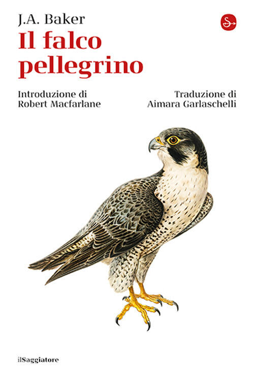Il Falco Pellegrino John Alec Baker Il Saggiatore 2025