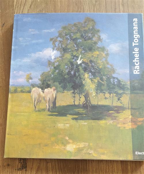 Rachele Tognana. Catalogo Della Mostra Treviso