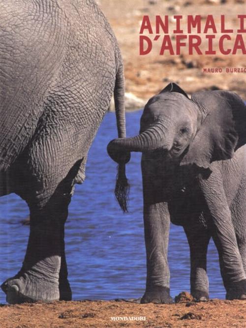 Animali D'africa