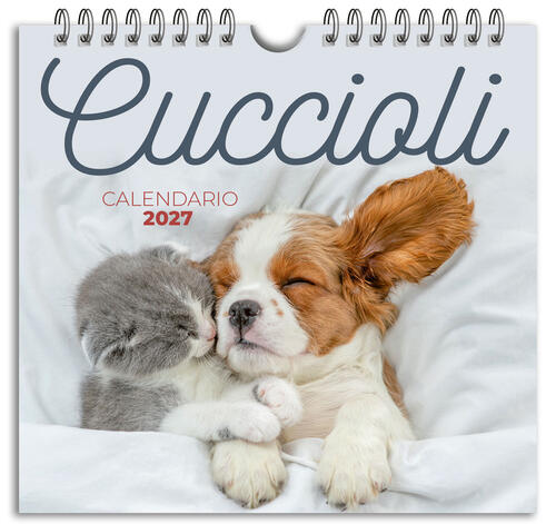 Cuccioli. Calendario 2027 Da Tavolo (17 X 16 Cm) Demetra 2026