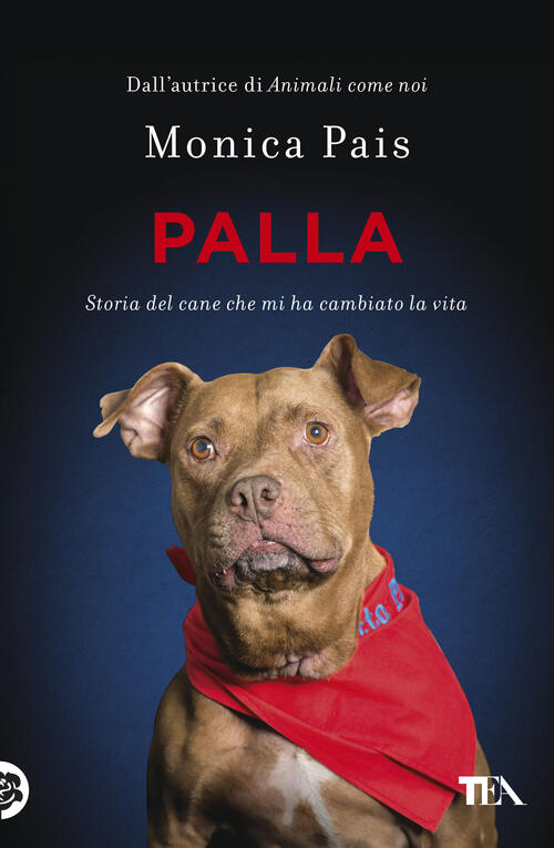 Palla. Storia Del Cane Che Mi Ha Cambiato La Vita Monica Pais Tea 2025