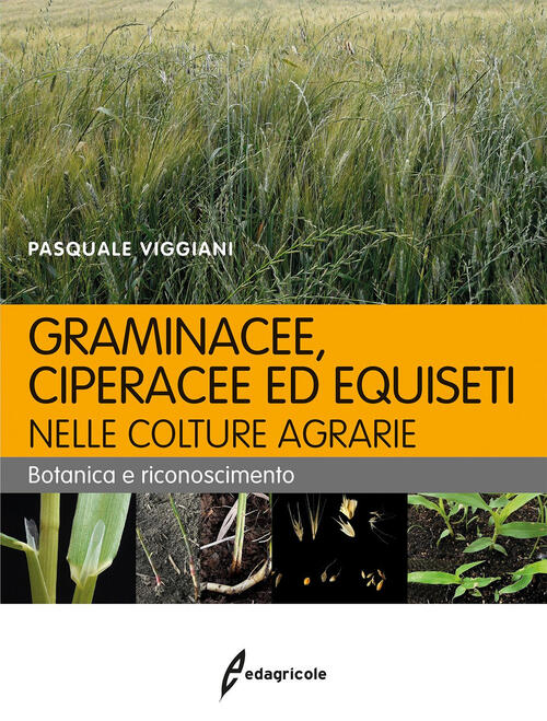 Graminacee, Ciperacee Ed Equiseti Nelle Colture Agrarie. Botanica E Riconoscimento