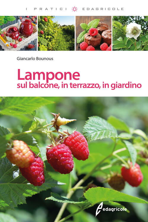 Lampone Sul Balcone, In Terrazzo, In Giardino Giancarlo Bounous Edagricole 201