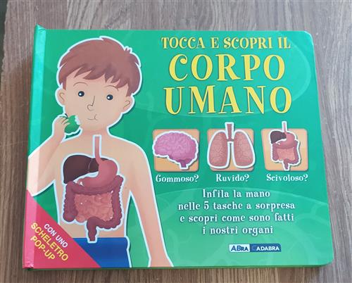 Tocca E Scopri Il Corpo Umano