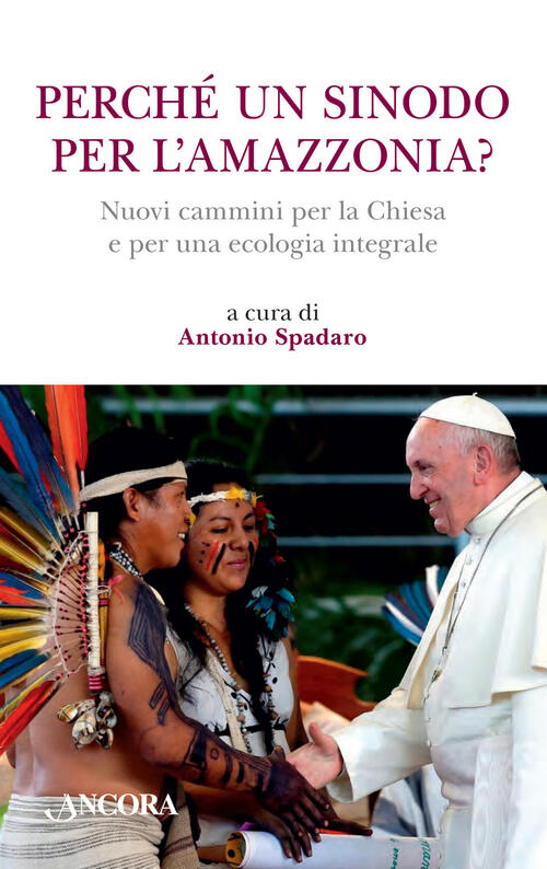 Perche Un Sinodo Per L'amazzonia? Nuovi Cammini Per La Chiesa E Per Una Ecologia Integrale