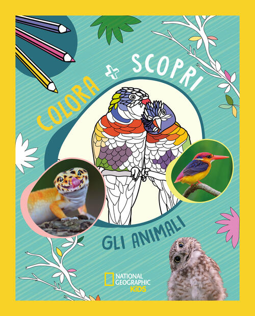 Animali. Colora + Scopri White Star 2025