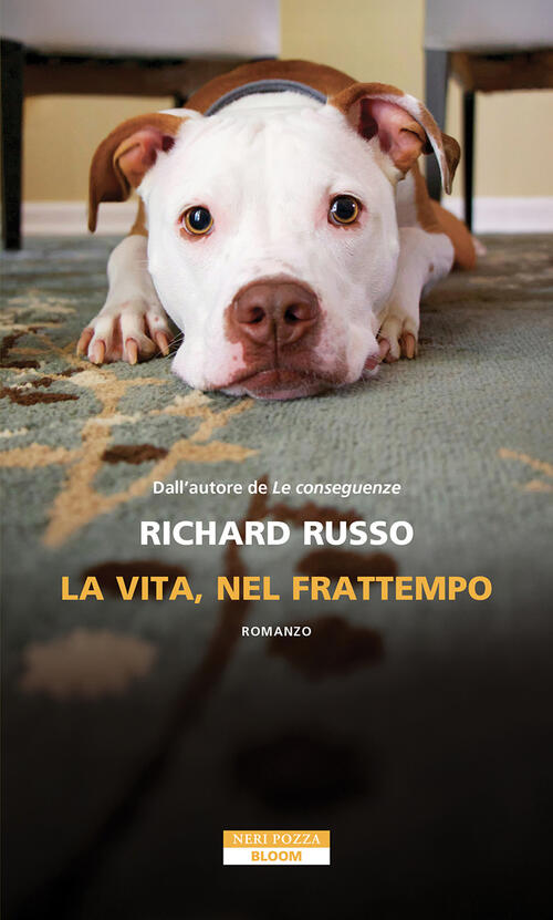 La Vita, Nel Frattempo Richard Russo Neri Pozza 2026