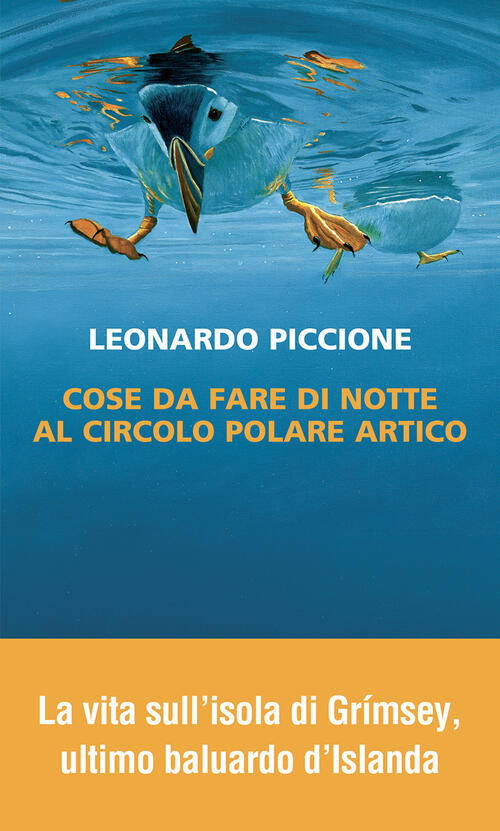 Cose Da Fare Di Notte Al Circolo Polare Artico Leonardo Piccione Neri Pozza 20
