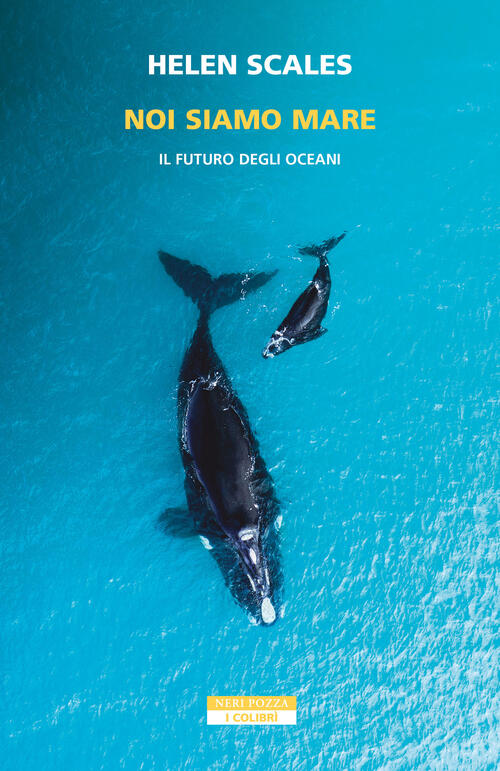 Noi Siamo Mare. Il Futuro Degli Oceani Helen Scales Neri Pozza 2026