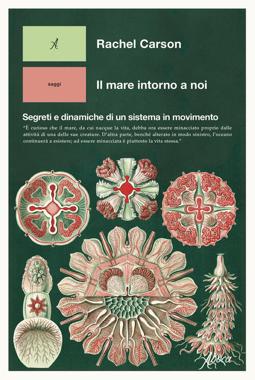 Il Mare Intorno A Noi. Segreti E Dinamiche Di Un Sistema In Movimento Rachel C