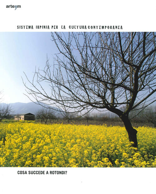 Sistema Irpinia Per La Cultura Contemporanea. Cosa Succede A Rotondi? La Valle Caudina Come Punto