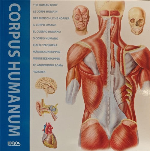 Corpus Humanum. Ediz. Italiana, Inglese, Francese, Spagnola E Tedesca Logos 20