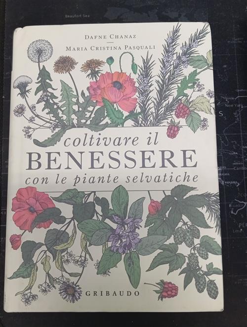Coltivare Il Benessere Con Le Piante Selvatiche Dafne Chanaz, Maria Cristina P