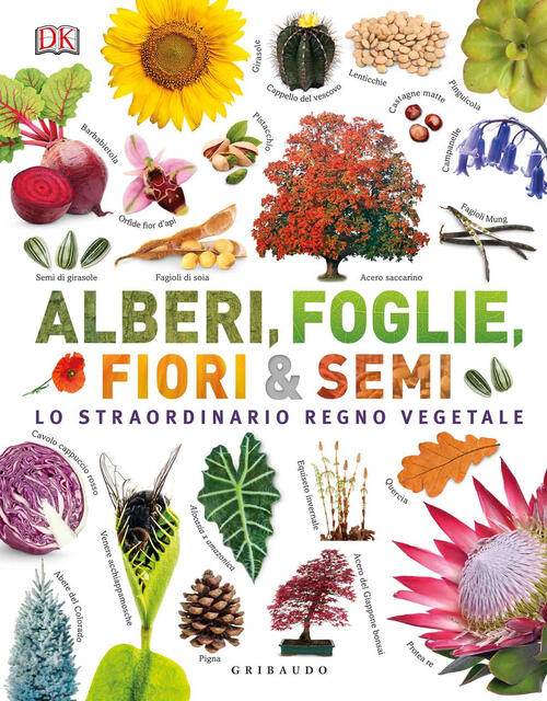Alberi, Foglie, Fiori & Semi. Lo Straordinario Regno Vegetale. Ediz. Illustrat