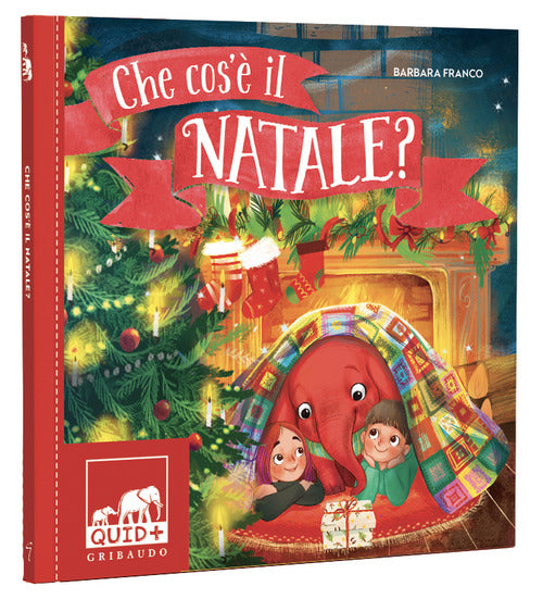 Che Cos'e Il Natale? Ediz. A Colori Barbara Franco Gribaudo 2021