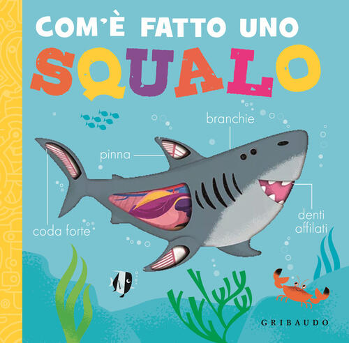 Com'e Fatto Uno Squalo Gribaudo 2024
