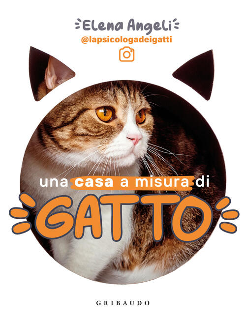 Una Casa A Misura Di Gatto