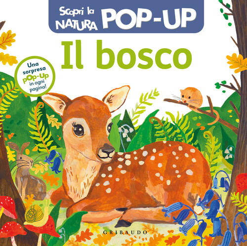 Il Bosco. Scopri La Natura Pop Up Gribaudo 2024