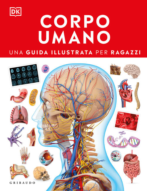 Corpo Umano. Una Guida Illustrata Per Ragazzi Gribaudo 2025