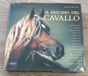 Il Fascino Del Cavallo