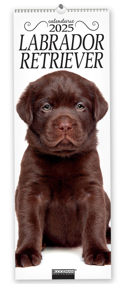 Labrador Retriever. Calendario 2025. Long Sprea Editori 2024