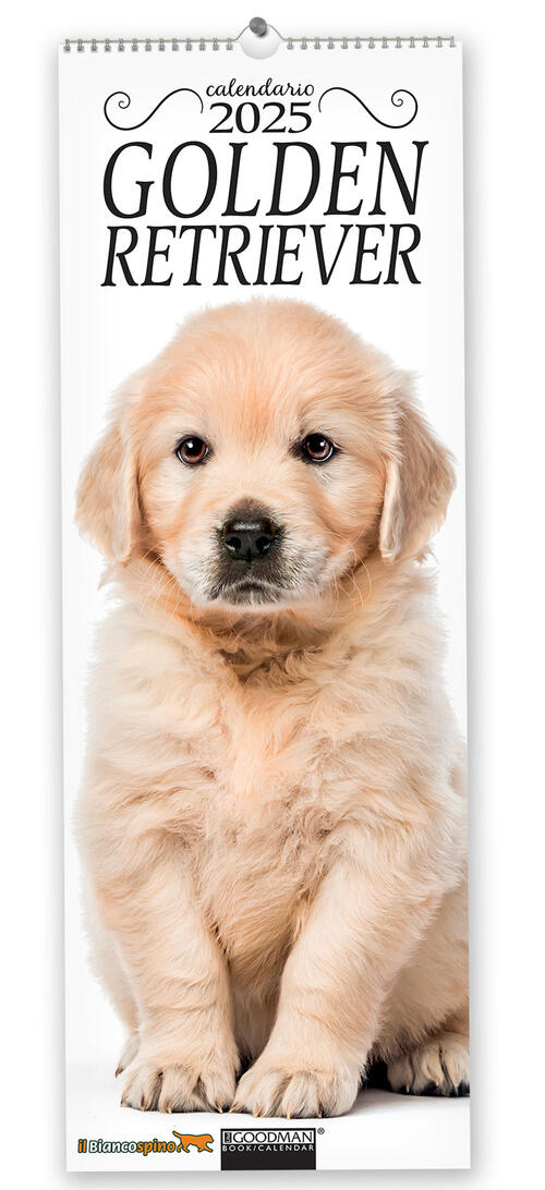 Golden Retriever. Calendario 2025. Long Sprea Editori 2024