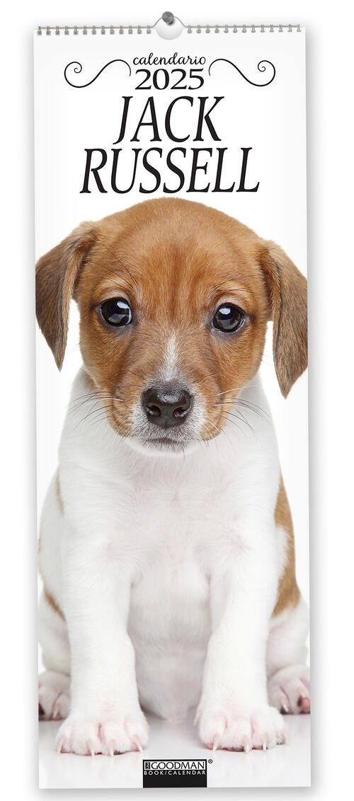 Jack Russel. Calendario 2025. Long Sprea Editori 2024