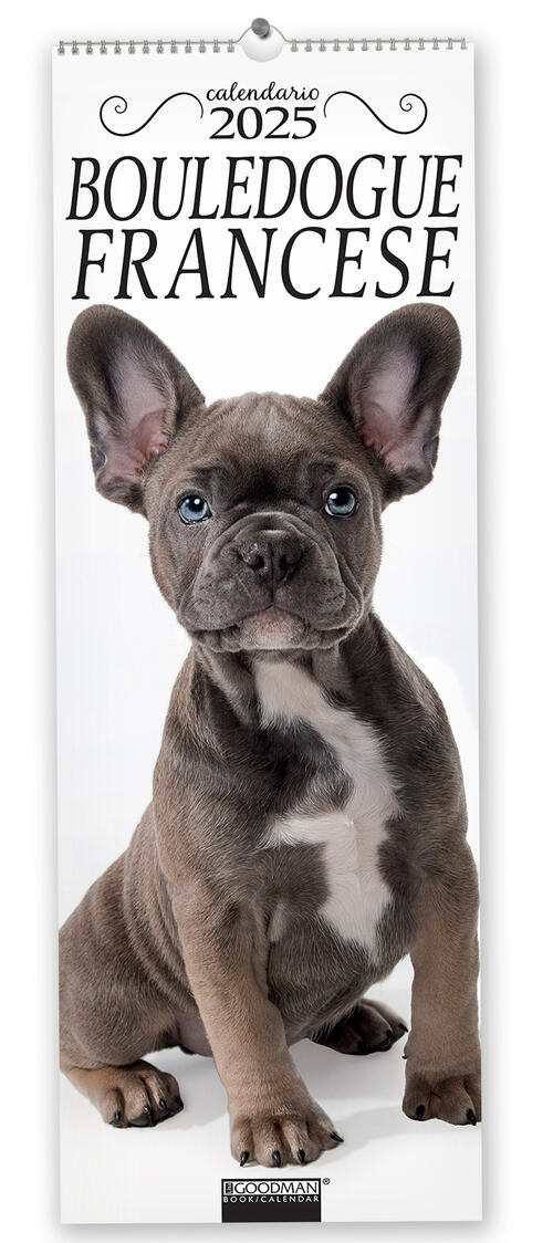Bouledogue Francese. Calendario 2025. Long Sprea Editori 2024