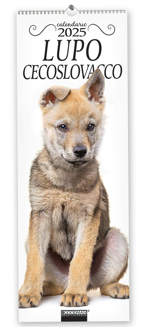Cane Lupo Cecoslovacco. Calendario 2025. Long Sprea Editori 2024