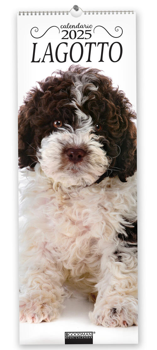 Lagotto. Calendario 2025. Long Sprea Editori 2024
