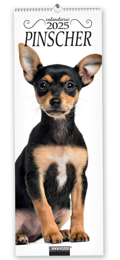 Pinscher. Calendario 2025. Long Sprea Editori 2024