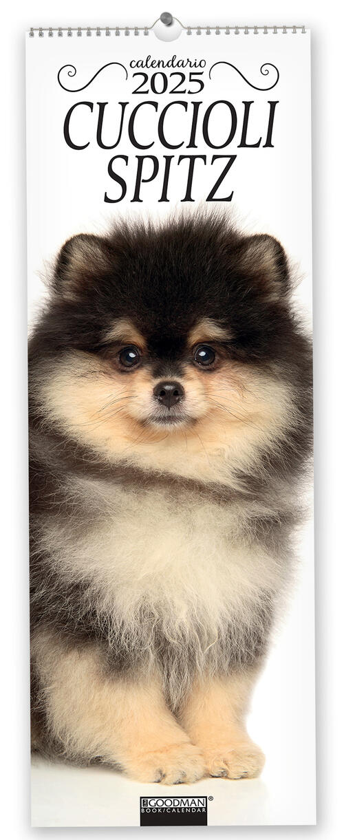 Cuccioli Spitz. Calendario 2025. Long Sprea Editori 2024