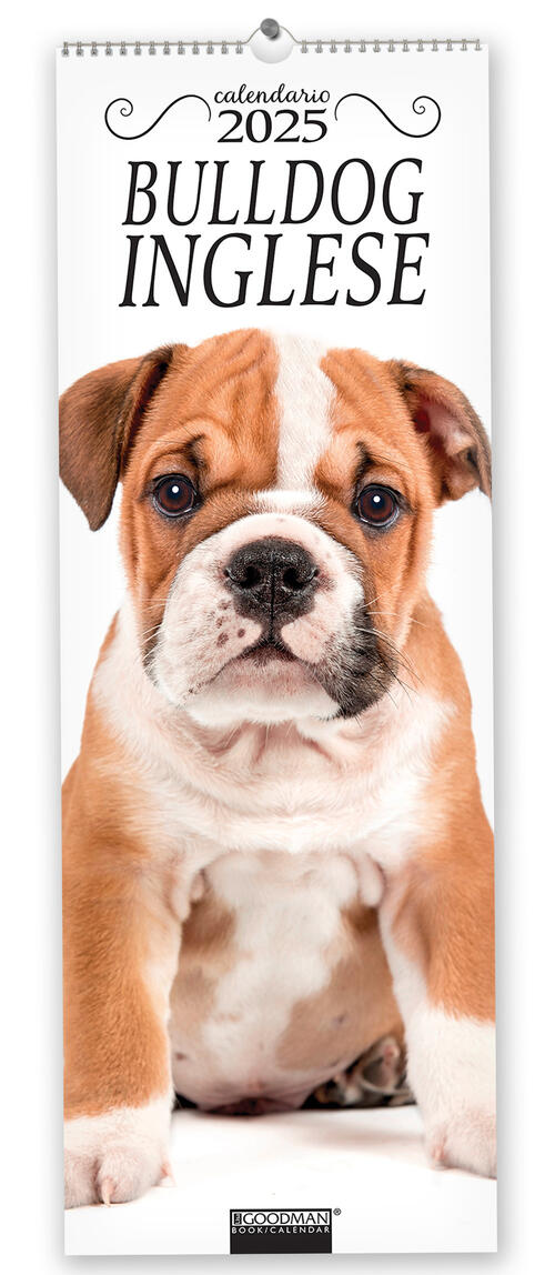 Bulldog Inglese. Calendario 2025. Long Sprea Editori 2024