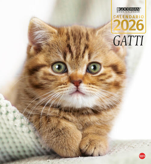 Gatti. Calendario 2026. Magnum Sprea Editori 2025