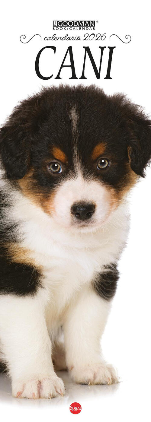 Cani. Calendario 2026. Long Sprea Editori 2025