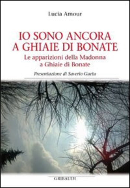 Io Sono Ancora A Ghiaie Di Bonate. Le Apparizioni Della Madonna A Ghiaie Di Bo