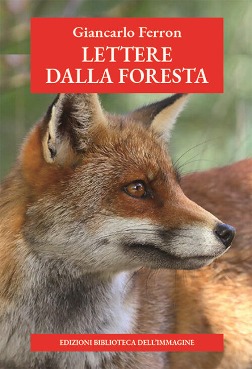 Lettere Dalla Foresta Giancarlo Ferron Biblioteca Dell'immagine 2025