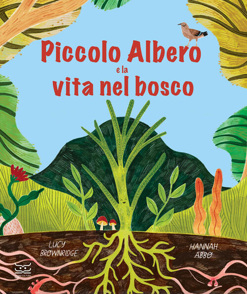 Piccolo Albero E La Vita Nel Bosco Lucy Brownridge 24 Ore Cultura 2024
