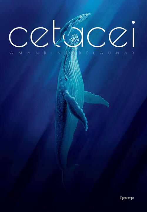 Cetacei. Album Scoperte Amandine Delaunay L'ippocampo 2025
