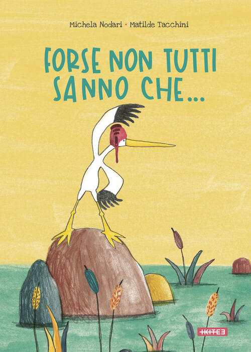 Forse Non Tutti Sanno Che... Michela Nodari Kite 2024